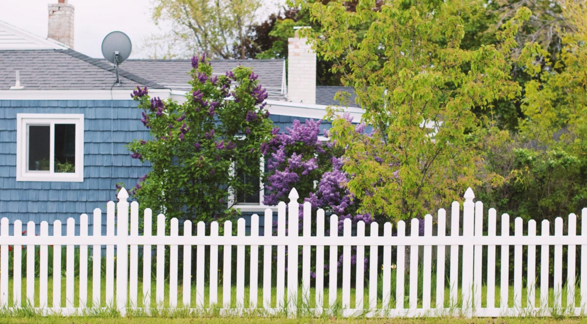 How To Pressure Wash Your Wooden Fence